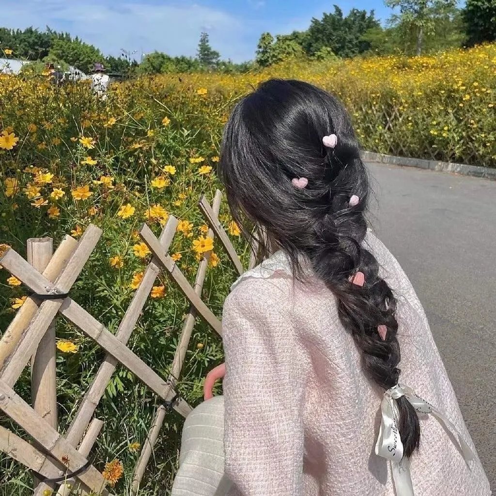 动物频道