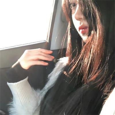 沙滩鼠